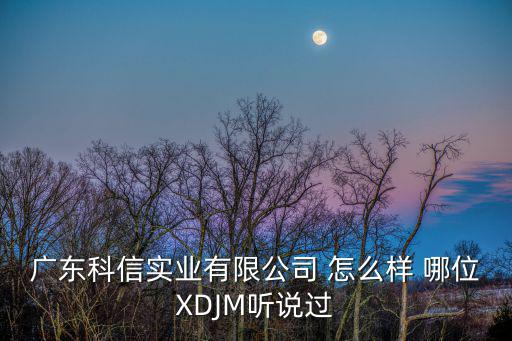廣東科信實(shí)業(yè)有限公司 怎么樣 哪位XDJM聽說過