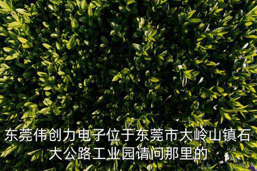 東莞偉創力電子位于東莞市大嶺山鎮石大公路工業園請問那里的