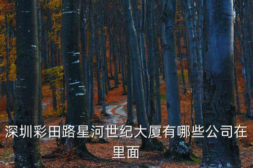 深圳彩田路星河世紀大廈有哪些公司在里面
