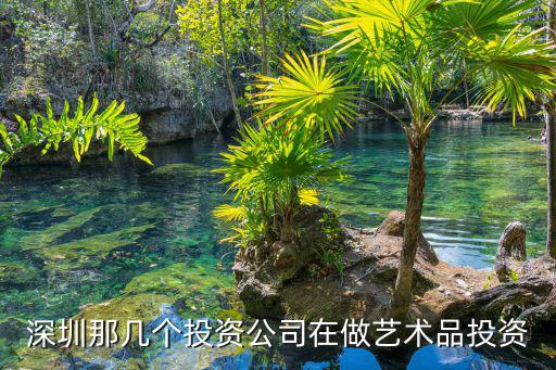 深圳那幾個投資公司在做藝術品投資