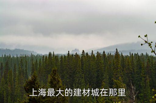 上海最大的建材城在那里