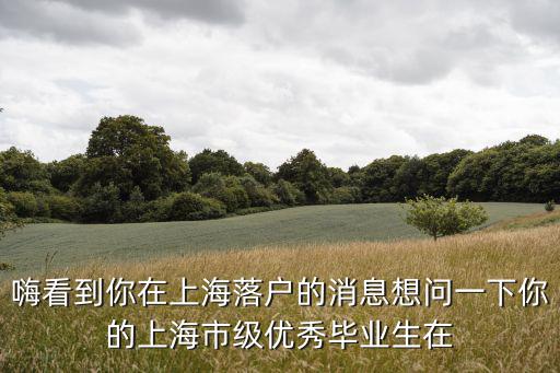 上海市市級優(yōu)秀畢業(yè)生加分，嗨看到你在上海落戶的消息想問一下你的上海市級優(yōu)秀畢業(yè)生在