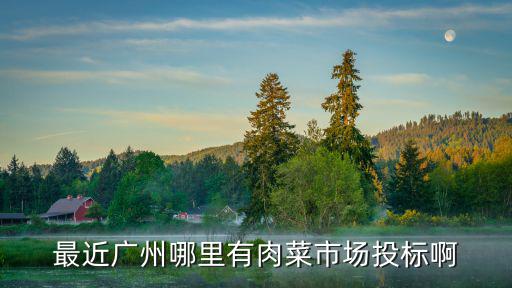 最近廣州哪里有肉菜市場投標啊