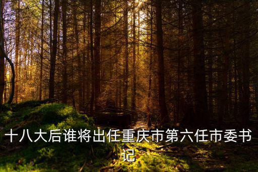 關于重慶市委書記更換，十八大后誰將出任重慶市第六任市委書記