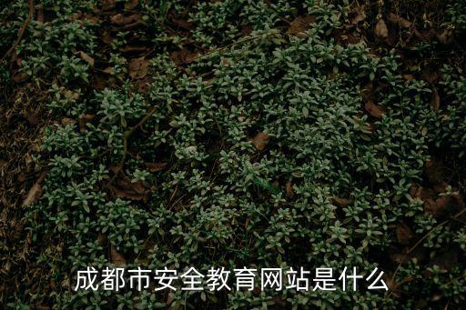 成都市安全教育網站是什么