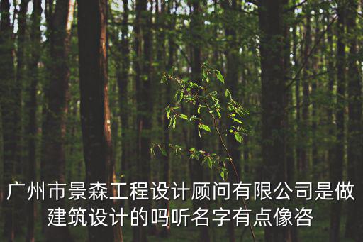 廣州市景森工程設(shè)計(jì)顧問(wèn)有限公司是做建筑設(shè)計(jì)的嗎聽(tīng)名字有點(diǎn)像咨