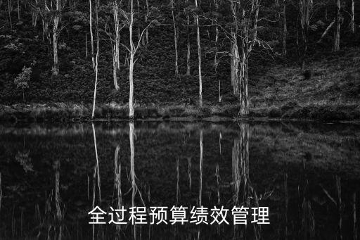 全過程預算績效管理