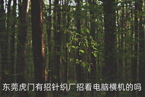 東莞虎門有招針織廠招看電腦橫機的嗎