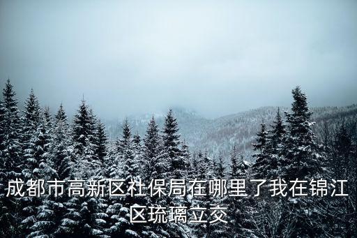 成都市高新區社保局在哪里了我在錦江區琉璃立交