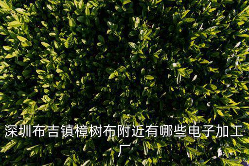 深圳億泰電子科技，深圳最大的電子科技是哪個公司