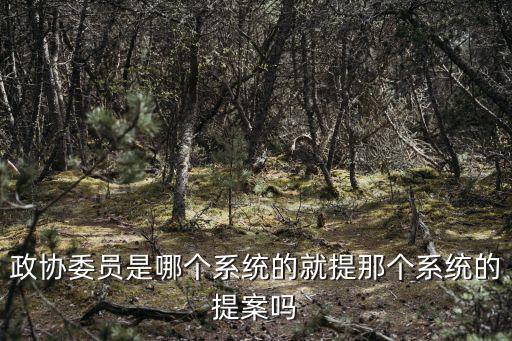政協委員是哪個系統的就提那個系統的提案嗎