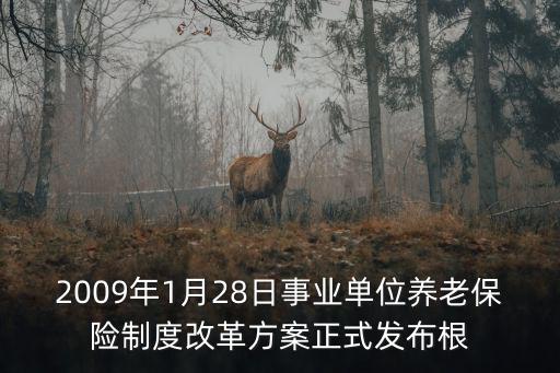 重慶市事業單位養老保險改革實施辦法，重慶市養老保險政策