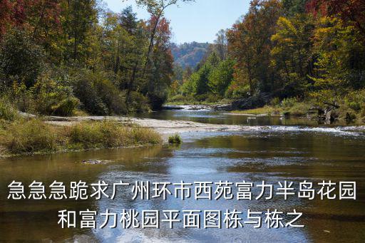 急急急跪求廣州環市西苑富力半島花園和富力桃園平面圖棟與棟之