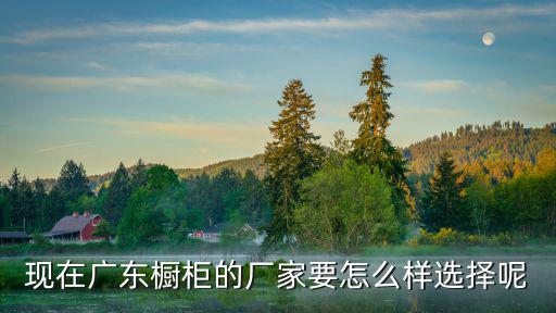 現在廣東櫥柜的廠家要怎么樣選擇呢