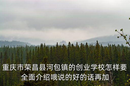 重慶市榮昌縣河包鎮(zhèn)的創(chuàng)業(yè)學校怎樣要全面介紹哦說的好的話再加