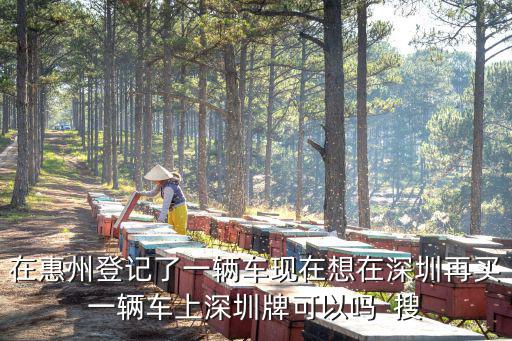 在惠州登記了一輛車現在想在深圳再買一輛車上深圳牌可以嗎  搜
