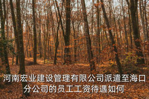 河南宏業建設管理有限公司派遣至海口分公司的員工工資待遇如何
