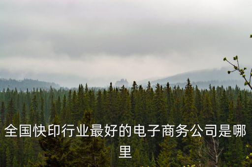 全國(guó)快印行業(yè)最好的電子商務(wù)公司是哪里