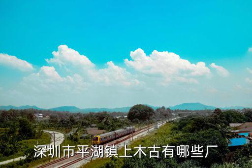 深圳市平湖鎮上木古有哪些廠