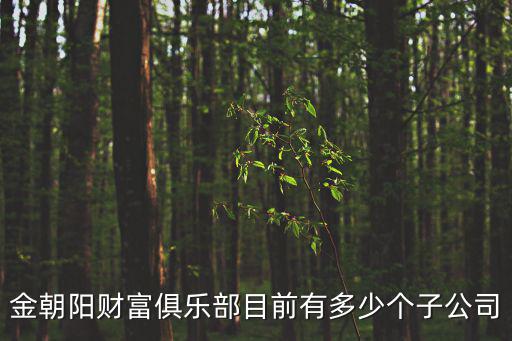 深圳金朝陽財富俱樂部，金朝陽財富俱樂部創始人是誰