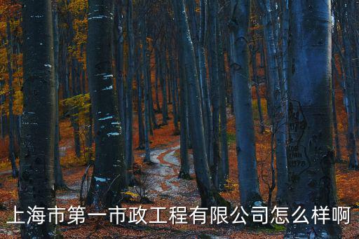 上海市政質(zhì)量員好考嗎，上海市政青島分院待遇怎么樣不知發(fā)展空間怎么樣