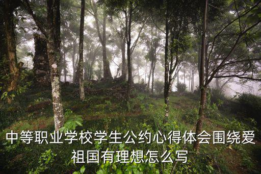 中等職業學校學生公約心得體會圍繞愛祖國有理想怎么寫
