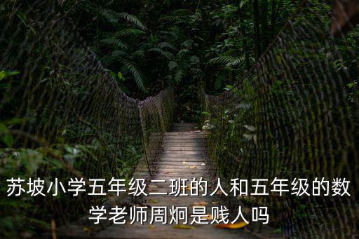 成都市蘇坡社區統籌小學有哪些，成都市青羊區蘇坡東路金沙會