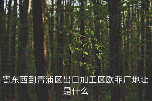 寄東西到青浦區(qū)出口加工區(qū)歐菲廠地址是什么