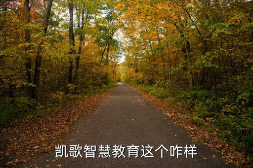 凱歌智慧教育這個咋樣