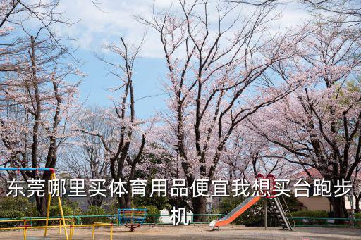 東莞哪里買體育用品便宜我想買臺跑步機