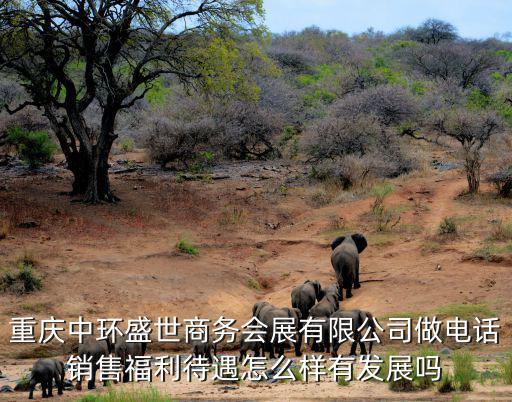 重慶中環(huán)盛世商務會展有限公司做電話銷售福利待遇怎么樣有發(fā)展嗎