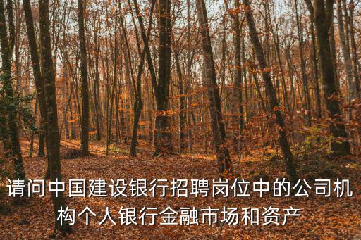 請問中國建設銀行招聘崗位中的公司機構個人銀行金融市場和資產