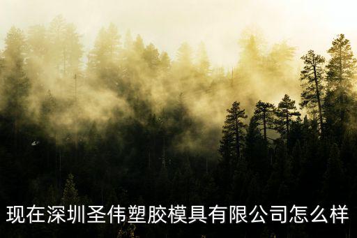 深圳市輝華玉塑膠模具有限公司，現在深圳圣偉塑膠模具有限公司怎么樣