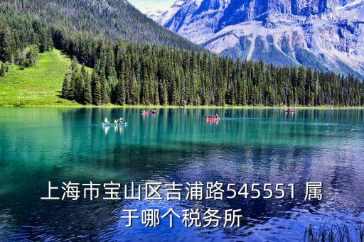 上海市寶山區(qū)吉浦路545551 屬于哪個稅務所