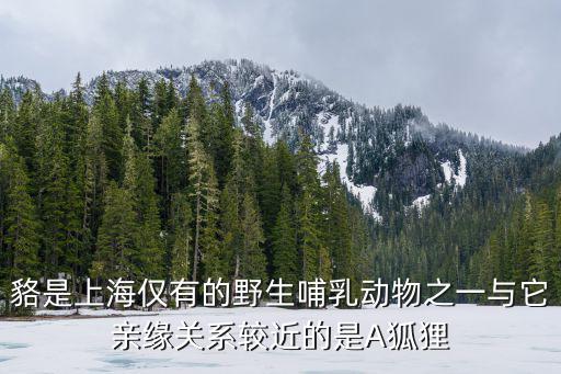 貉是上海僅有的野生哺乳動物之一與它親緣關系較近的是A狐貍
