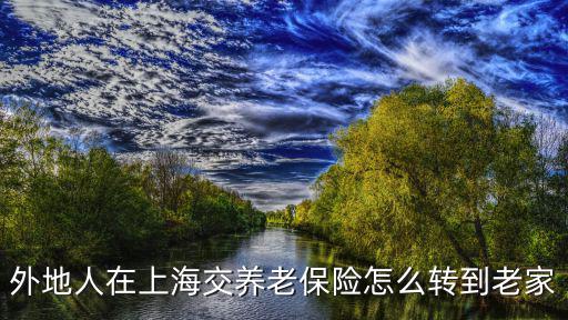 外地人在上海交養老保險怎么轉到老家
