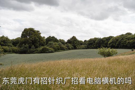 東莞虎門有招針織廠招看電腦橫機的嗎