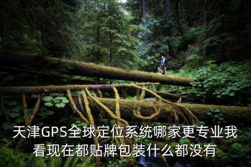 天津GPS全球定位系統(tǒng)哪家更專業(yè)我看現(xiàn)在都貼牌包裝什么都沒有