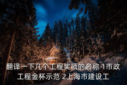 翻譯一下幾個工程獎項的名稱 1市政工程金杯示范 2上海市建設工