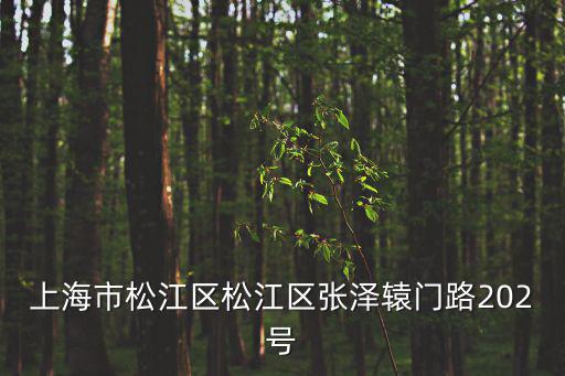 上海市松江區松江區張澤轅門路202號