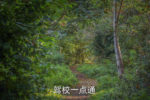 東莞駕校一點通2017，駕駛校一點通