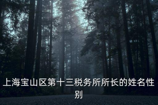 上海寶山區第十三稅務所所長的姓名性別