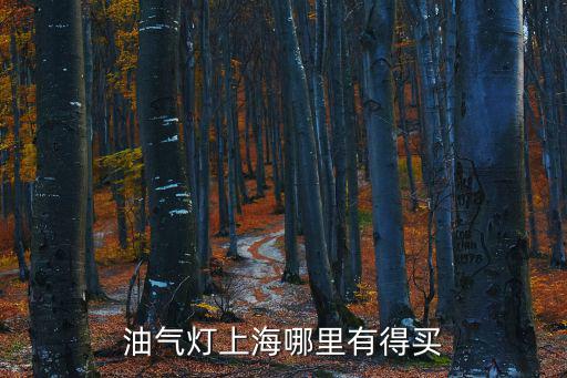 油氣燈上海哪里有得買