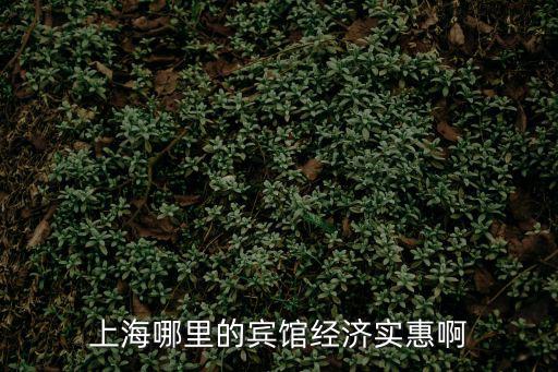 上海哪里的賓館經濟實惠啊