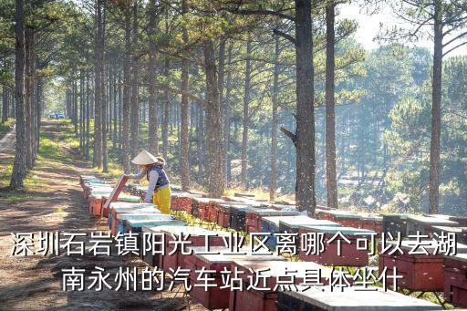 深圳石巖鎮(zhèn)陽光工業(yè)區(qū)離哪個(gè)可以去湖南永州的汽車站近點(diǎn)具體坐什