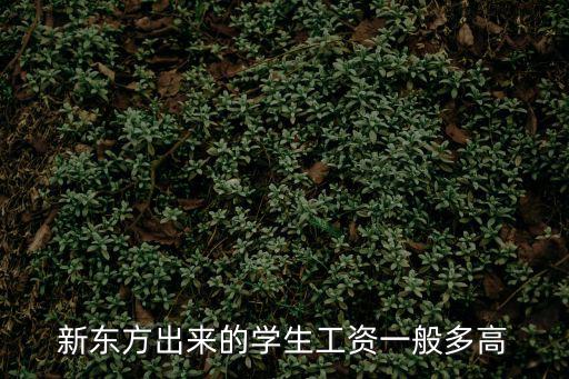 新東方出來的學生工資一般多高
