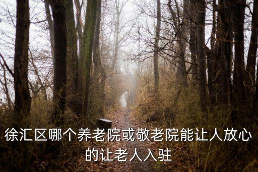 徐匯區哪個養老院或敬老院能讓人放心的讓老人入駐