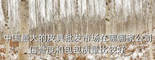 中國最大的皮具批發市場在哪哪家公司信譽度和包包質量比較好