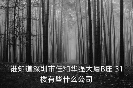 誰知道深圳市佳和華強大廈B座 31樓有些什么公司