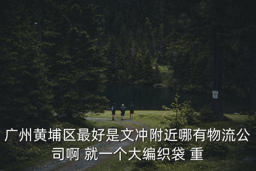 廣州黃埔區(qū)最好是文沖附近哪有物流公司啊 就一個大編織袋 重